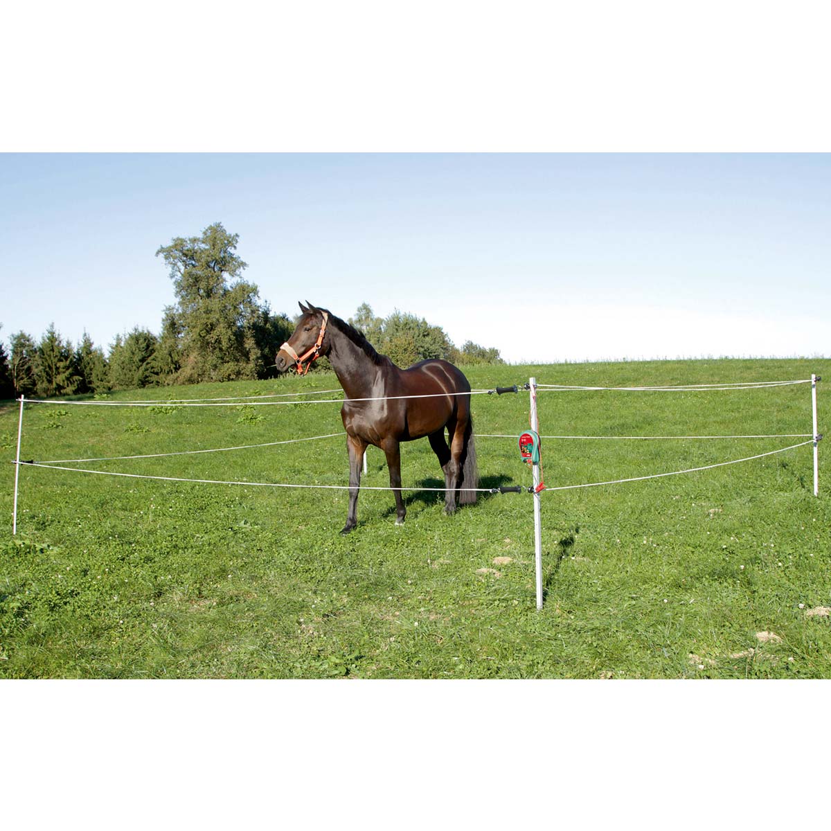 Tournament/Paddock Set 7 x 7 m incl. Fencing unit