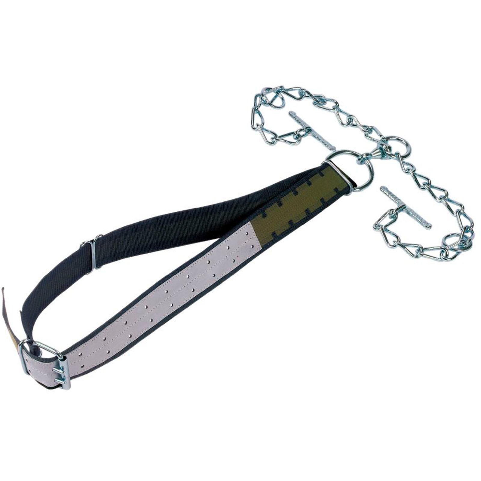 Bull tether with collar, D-ring, toggle 170 x 7 cm