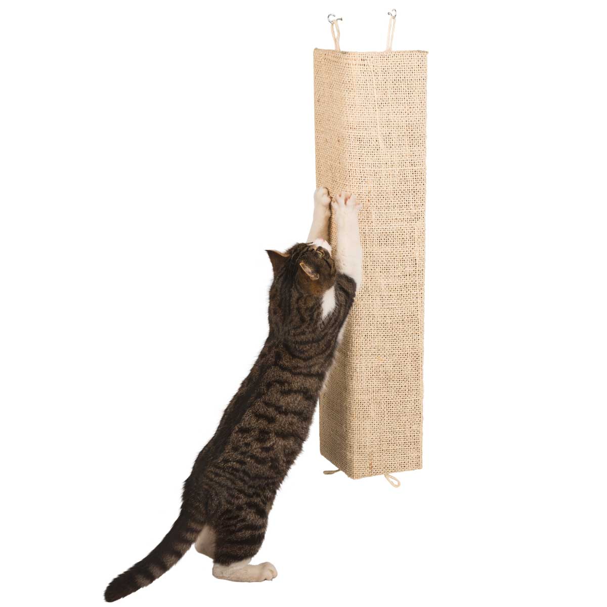 Scratching board Kevin 80x28cm, beige