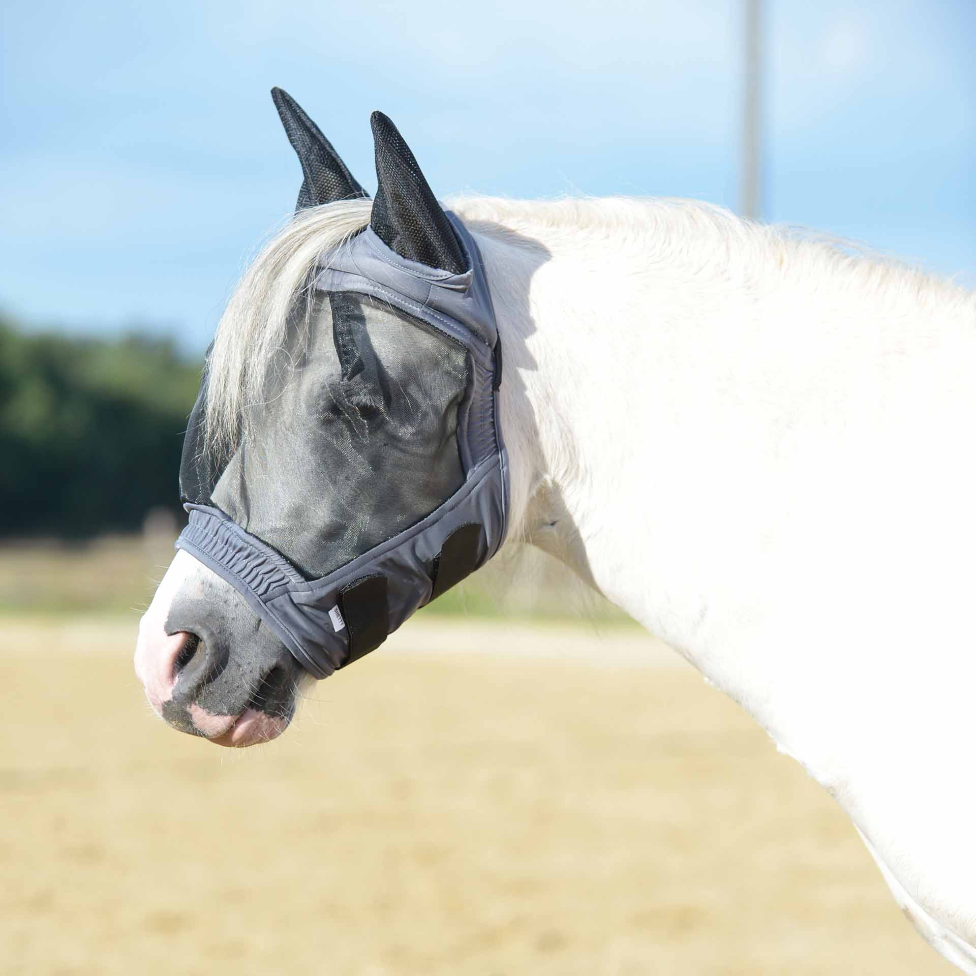 BUSSE Fly Mask FLY BUCKLER GAP II Mini-Shetty gray