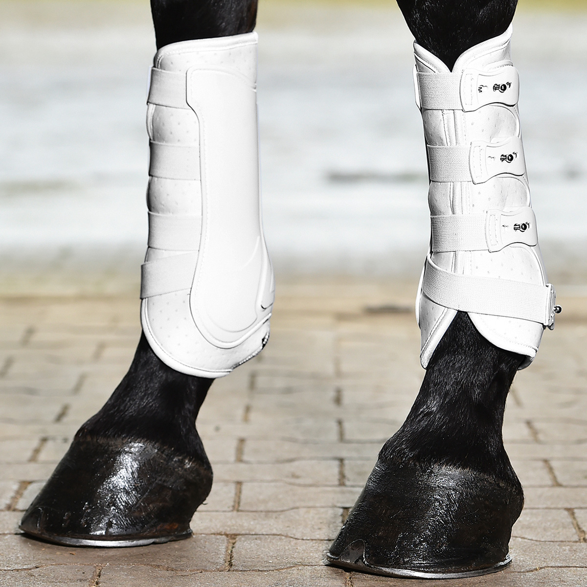 BUSSE Tendon Boots DRESSAGE-PRO