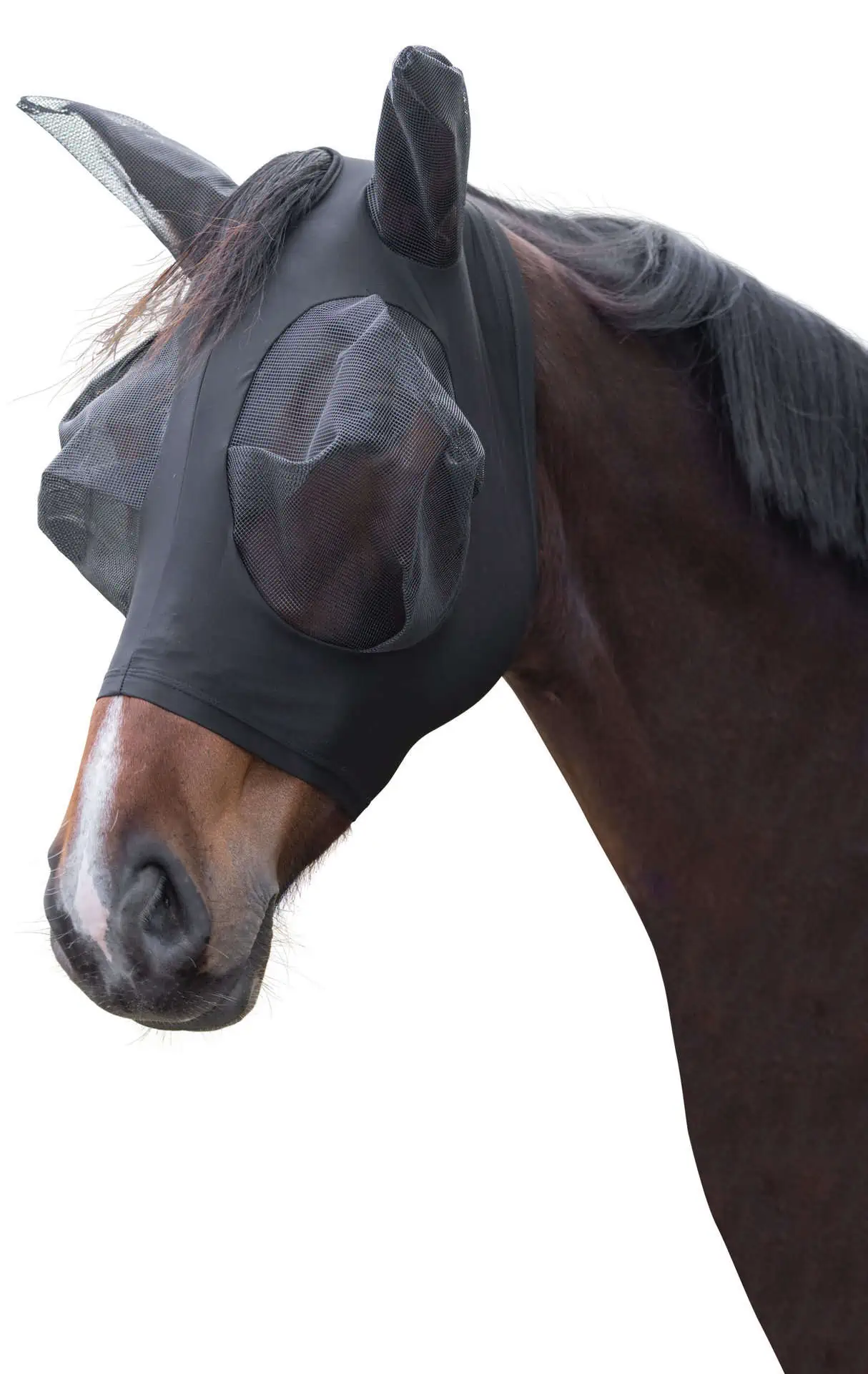 Fly Mask FinoStrech black