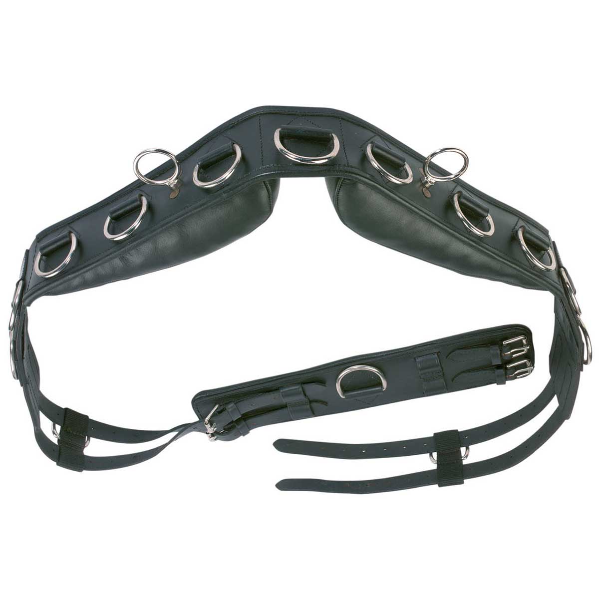 BUSSE Training Roller PROFESSIONAL-LEDER