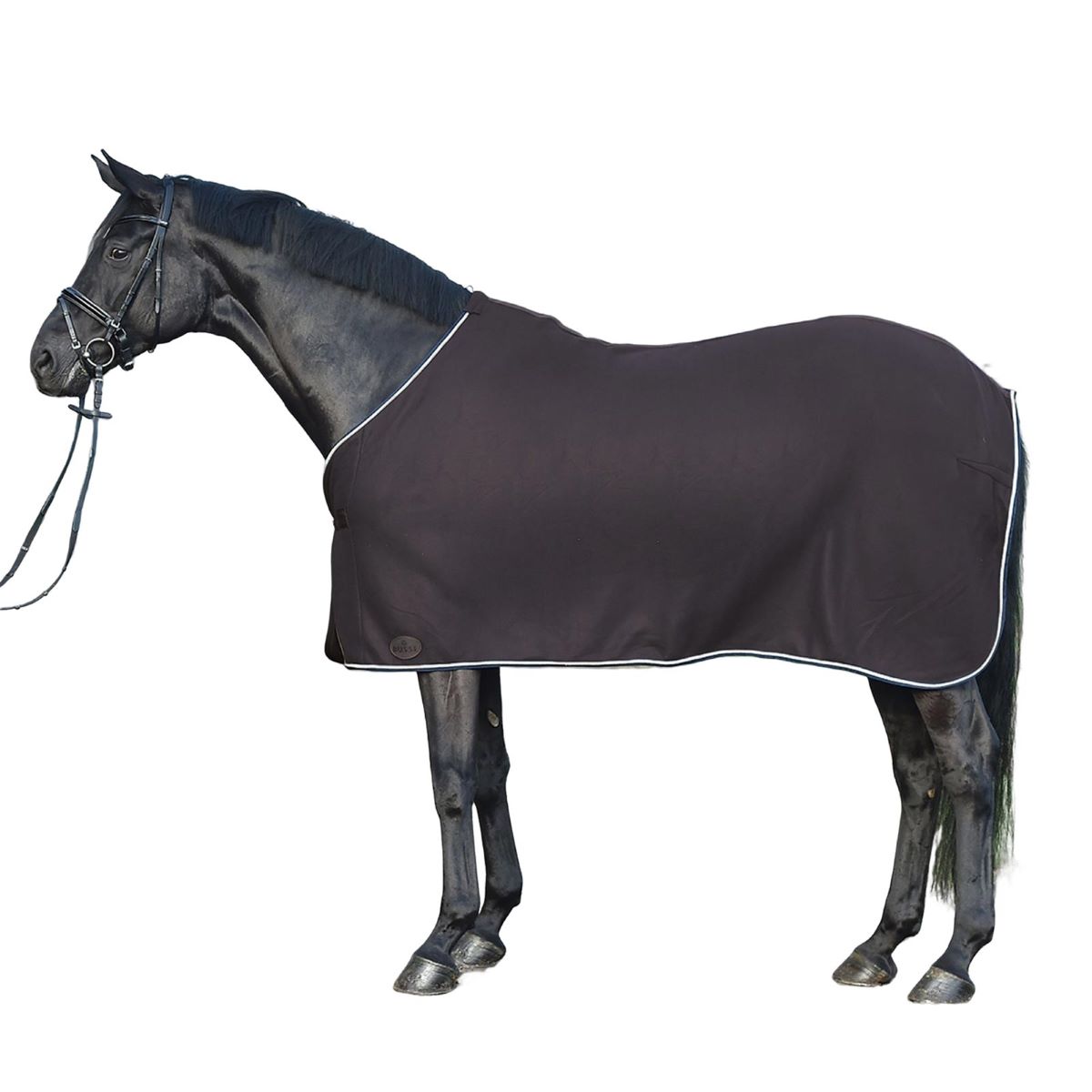 BUSSE Cooler SHOW