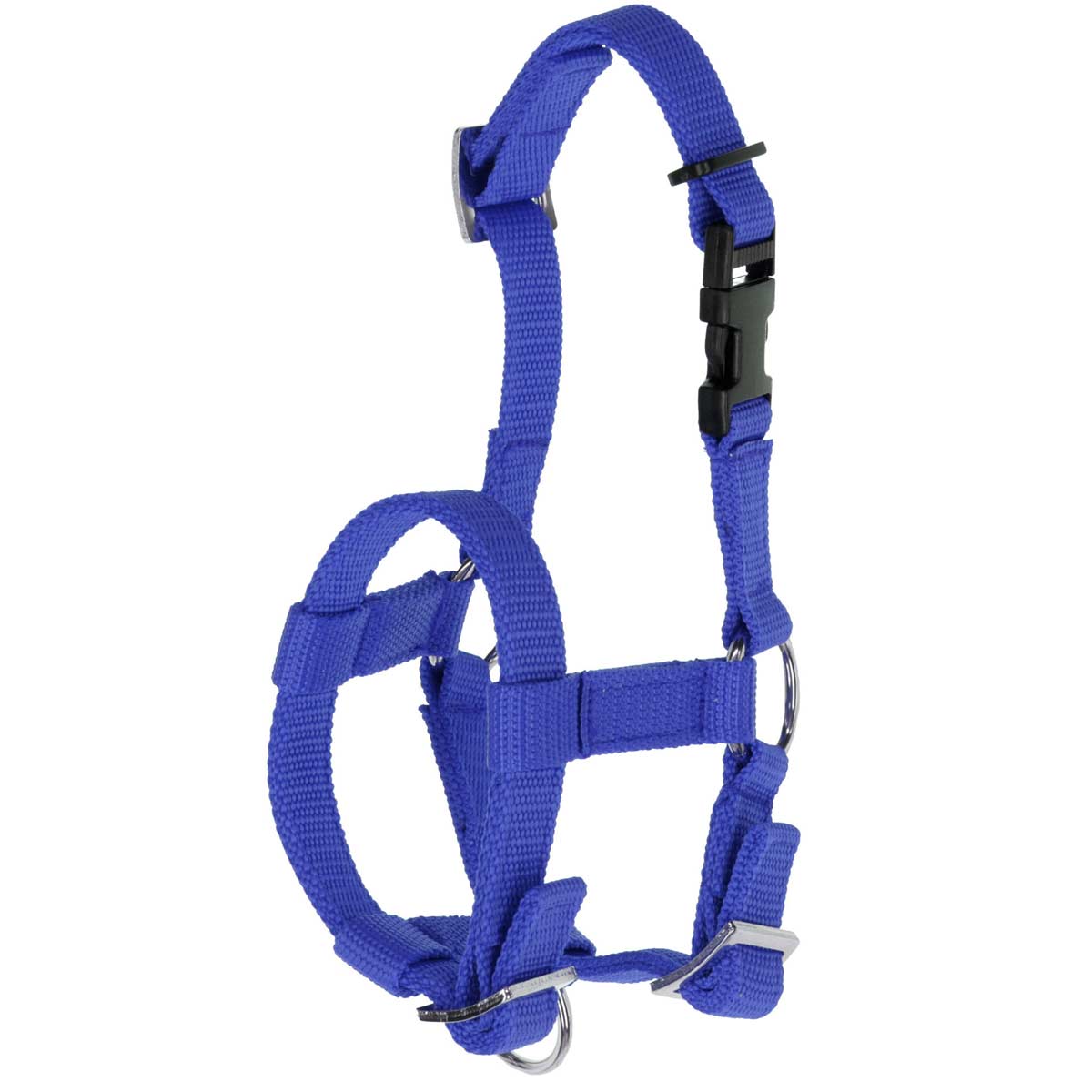 Alpaca halter blue