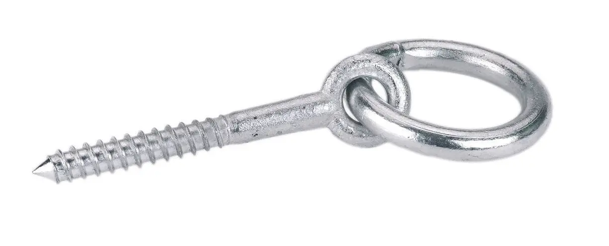 Eye bolt with wood screw galvanized (2 pcs)