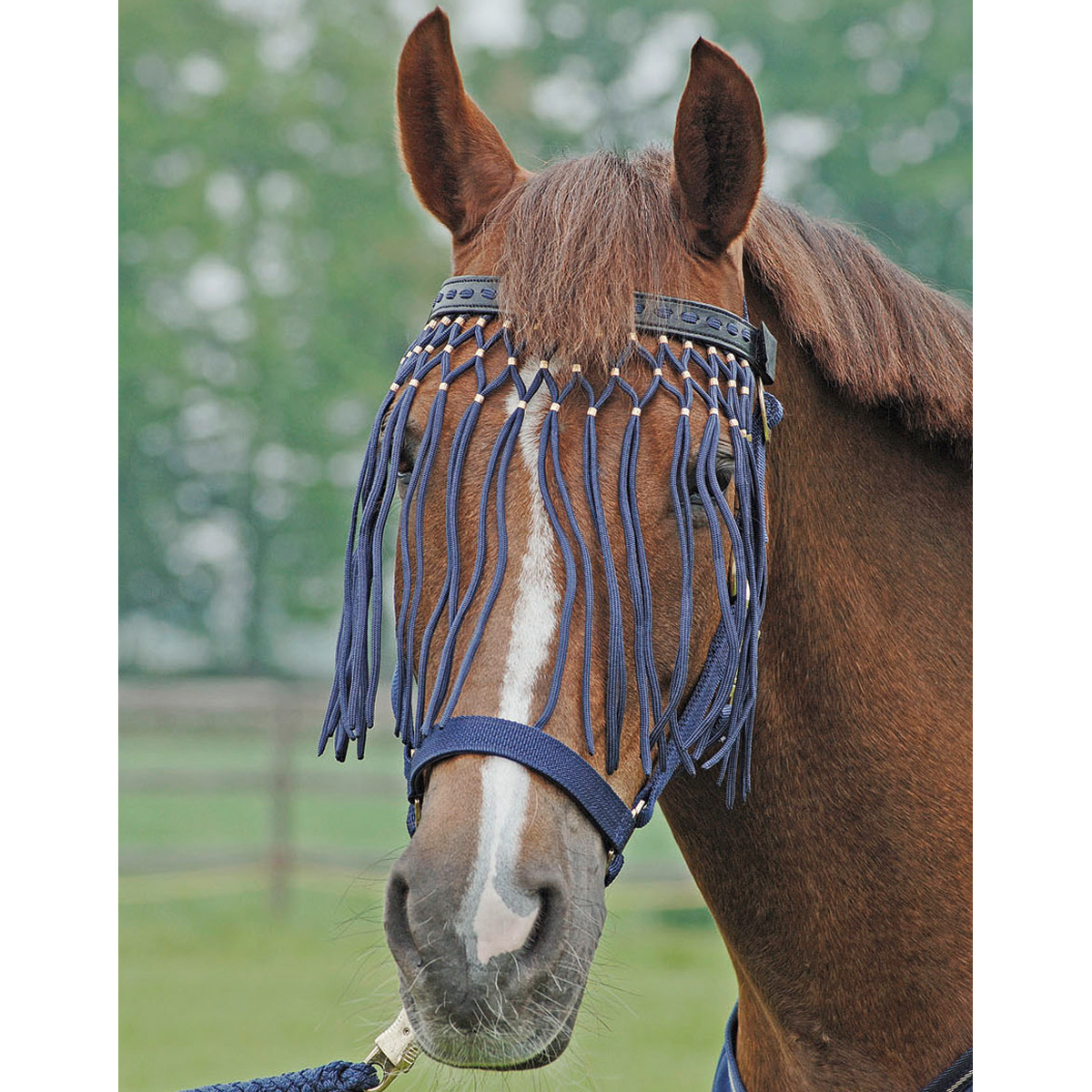 BUSSE Flystring Browband EXKLUSIV