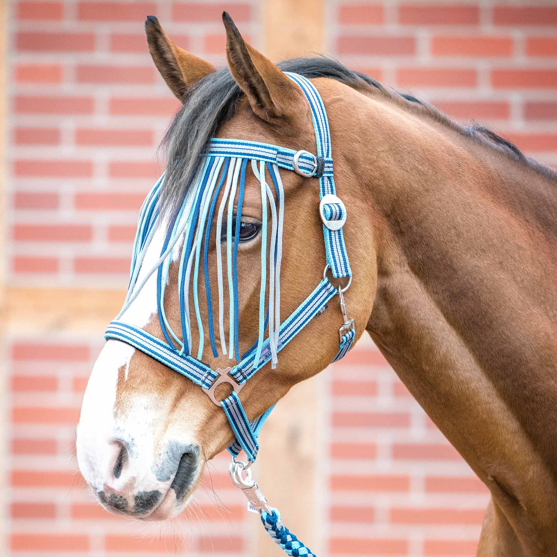 BUSSE Flystring Browband TAMPERE Pony cool blue/gray/navy