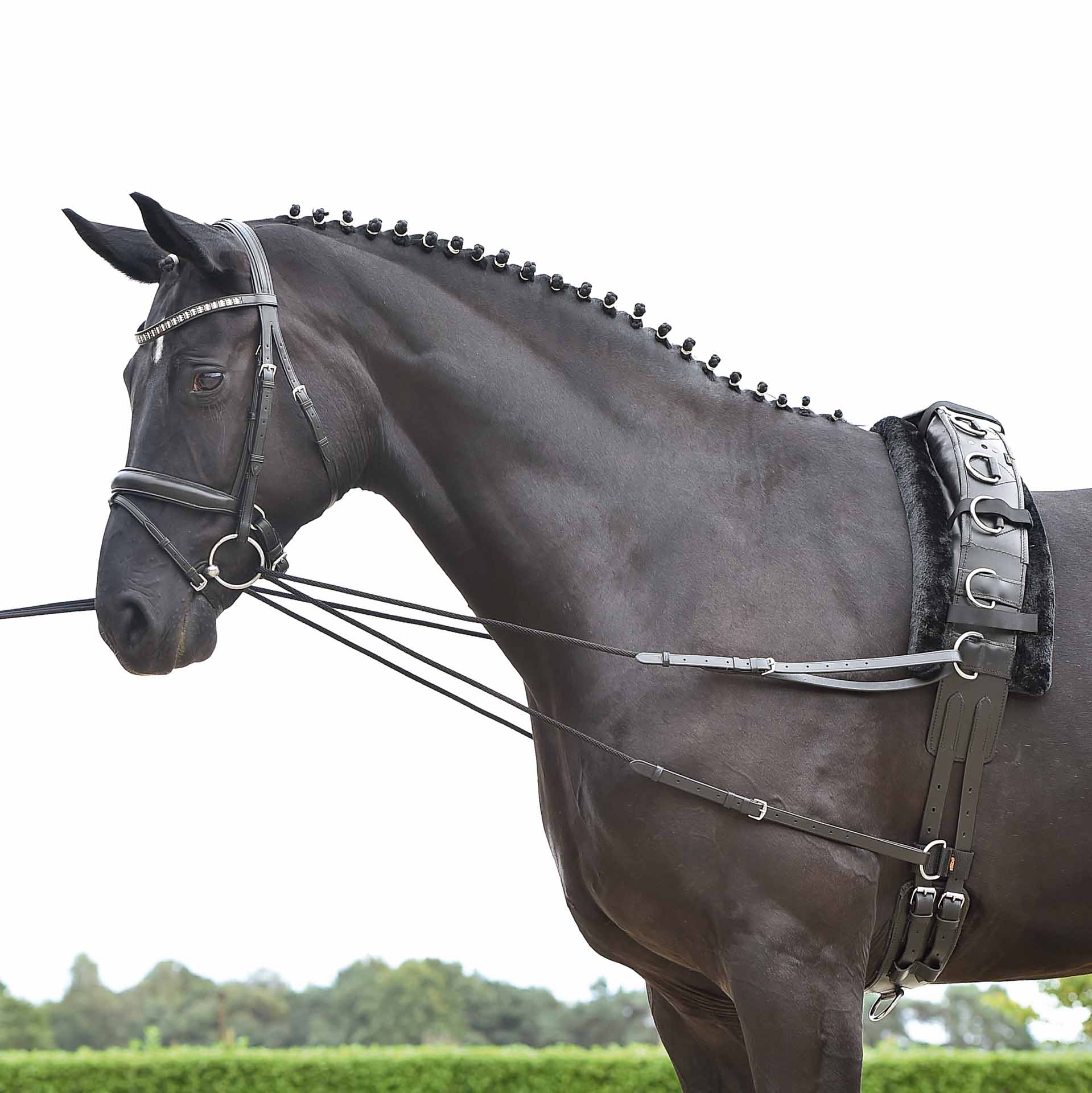BUSSE Running reins BASIC-KORDEL black COB/FULL