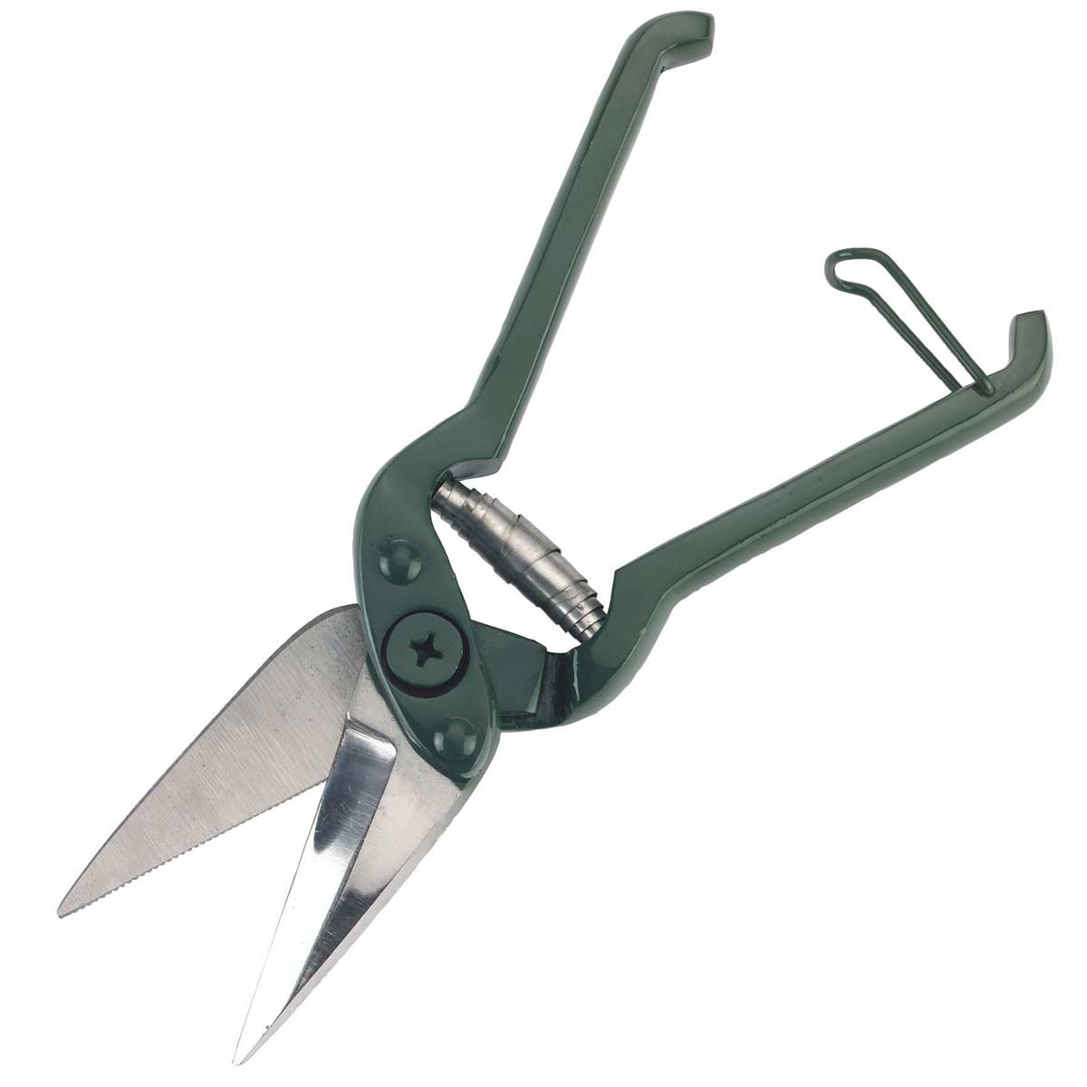 Claw shear with teeth for sheep