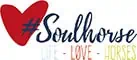 #soulhorse #soulhorse