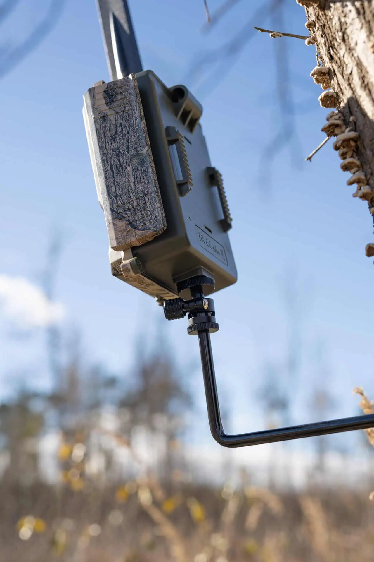 Tree screw 1/4" for surveillance cameras