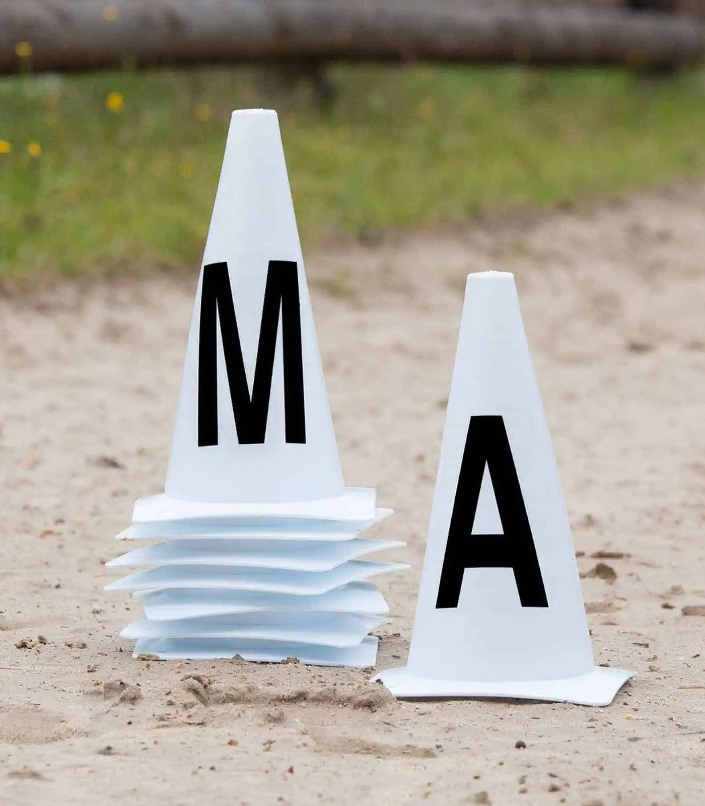Arena marker cones, 20x60 m 