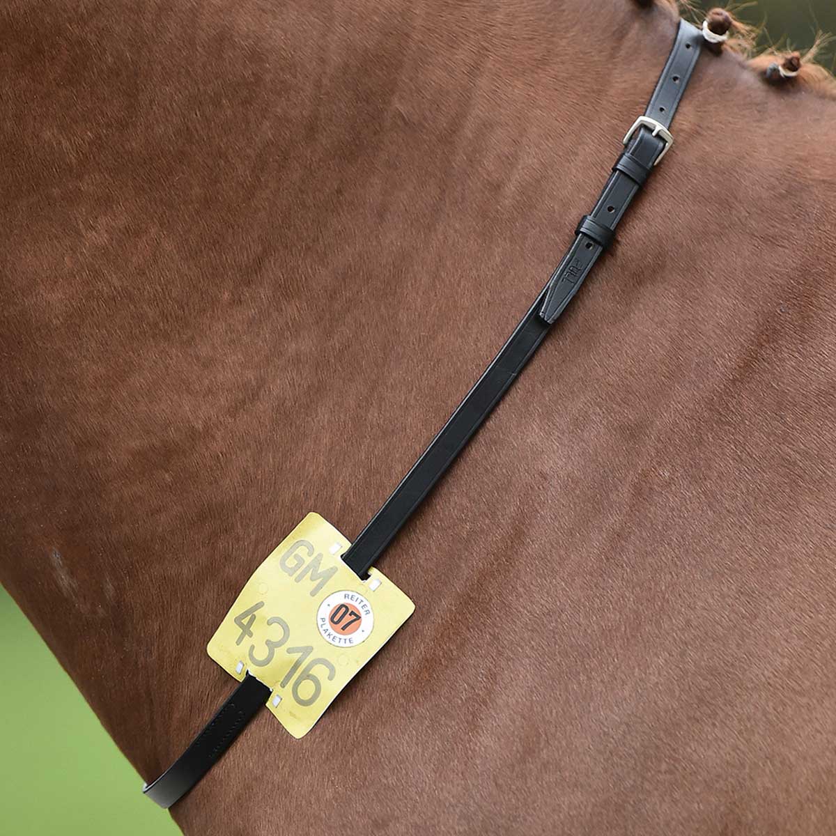BUSSE Collar Reitkennzeichen