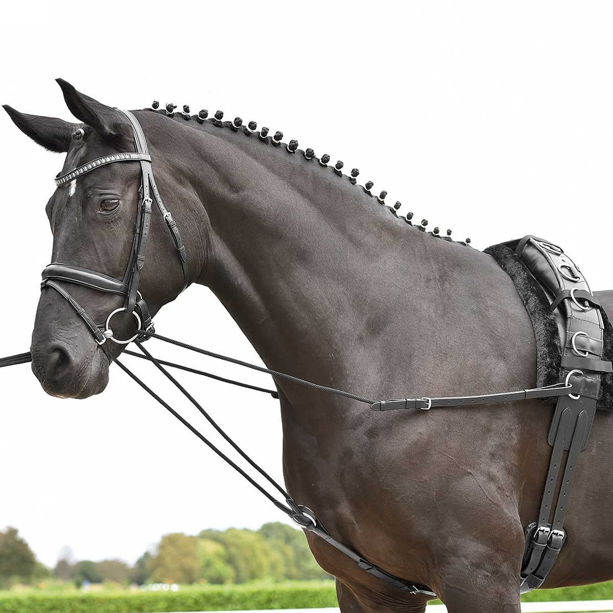 BUSSE Standing Draw-Rein BASIC-KORDEL