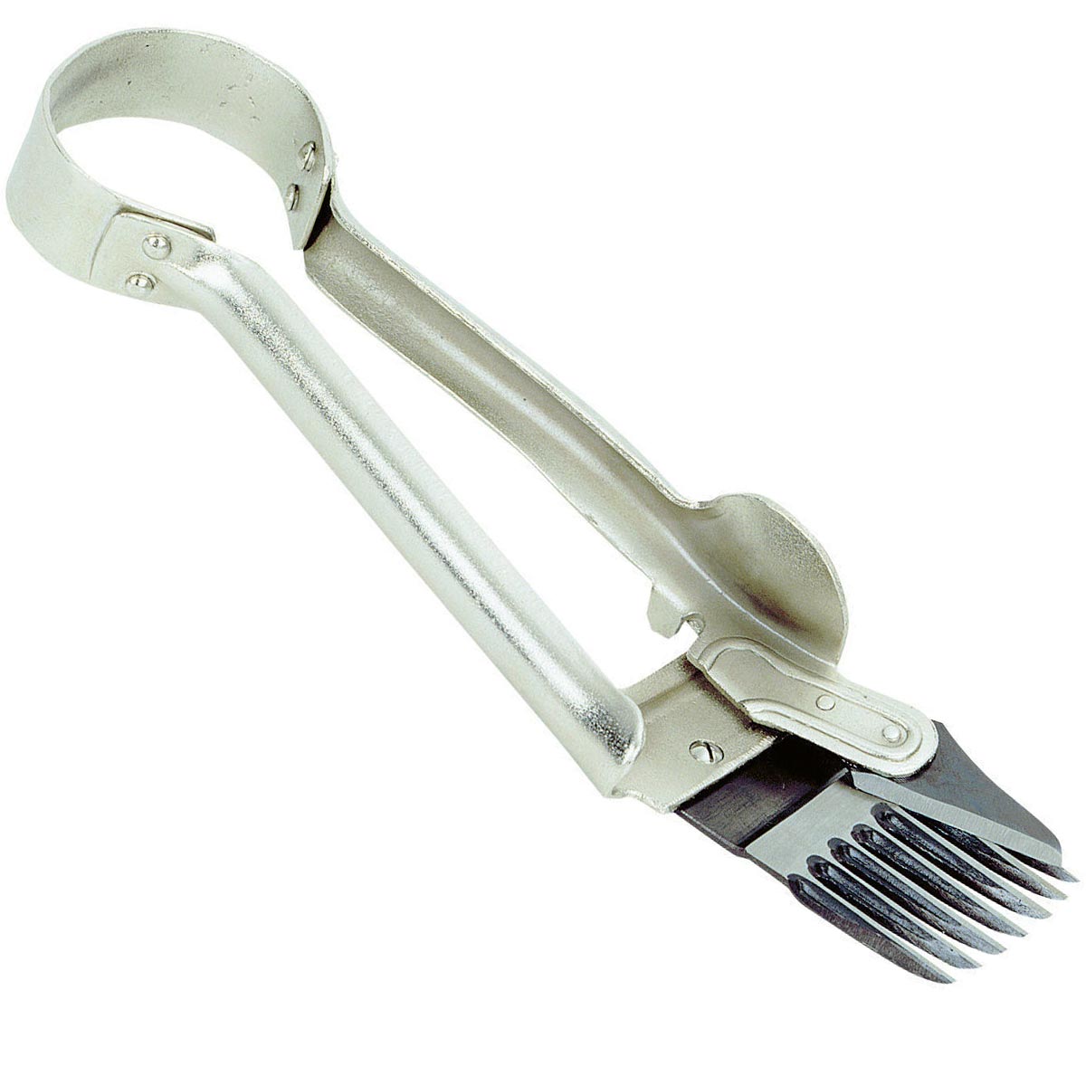 Hand Sheep Shears