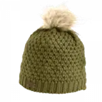 winter olive