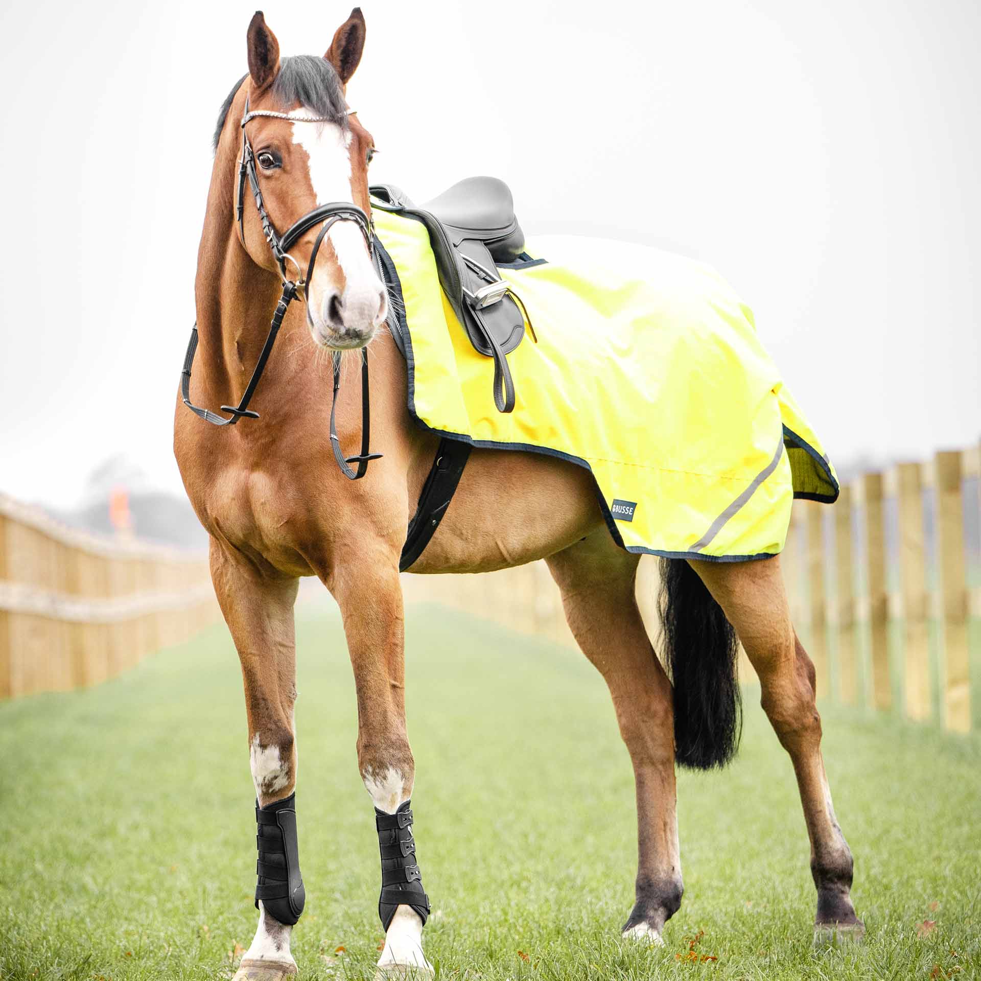 BUSSE Exercise Sheet SHINE 100 125 yellow (navy