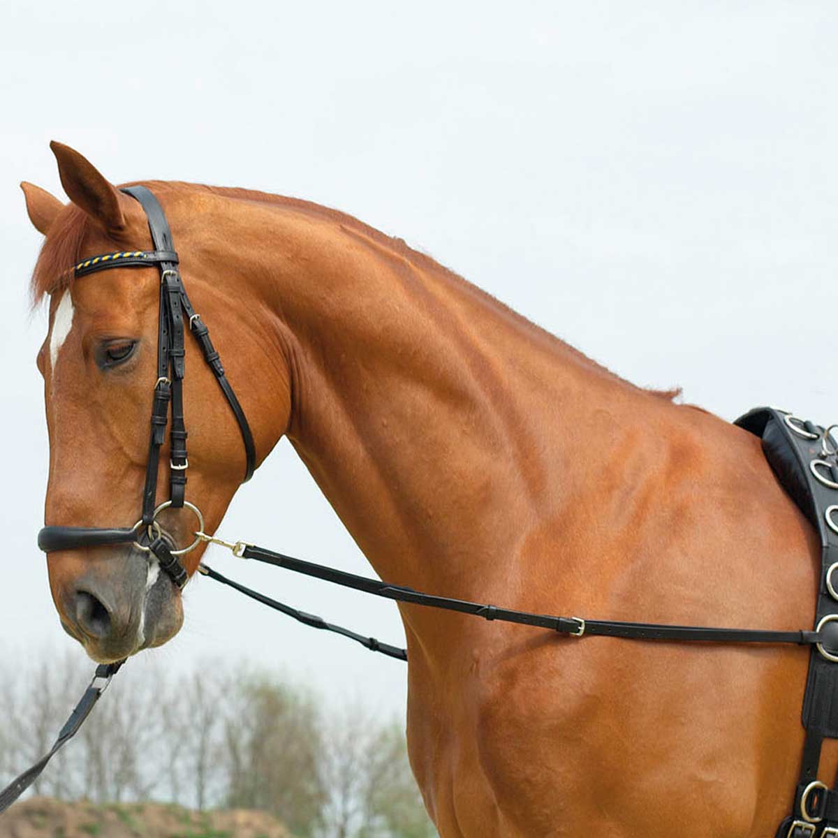 Side-Reins BASIC-ELASTIK
