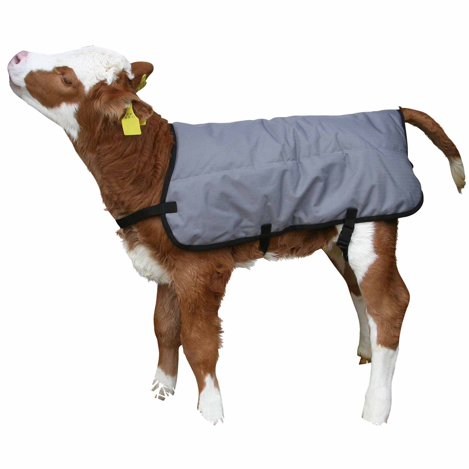 Calf Blanket Ripstopp 70 cm