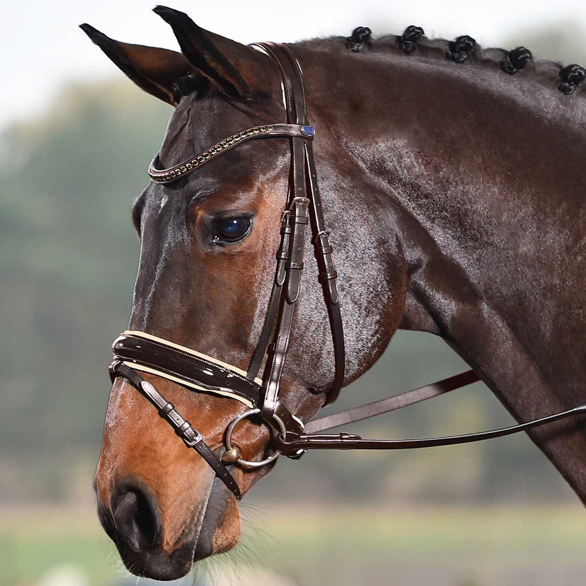 BUSSE Bridle LUXURY