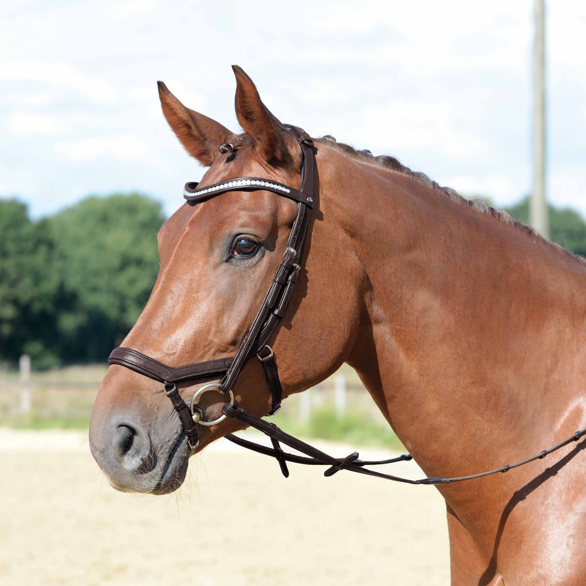 BUSSE Bridle EMOTION Pony brown