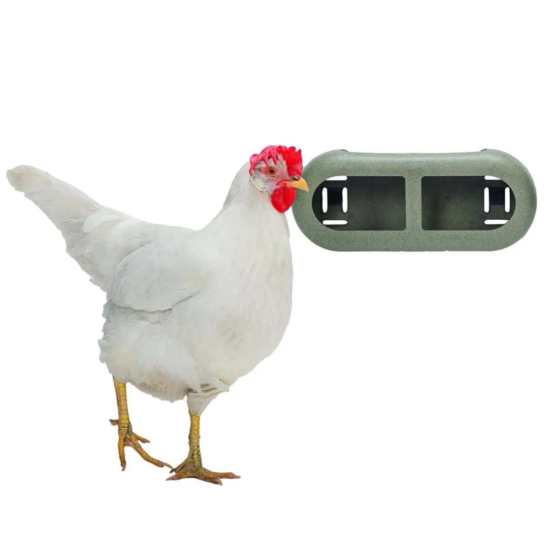 Beeztees Chicken Feeder