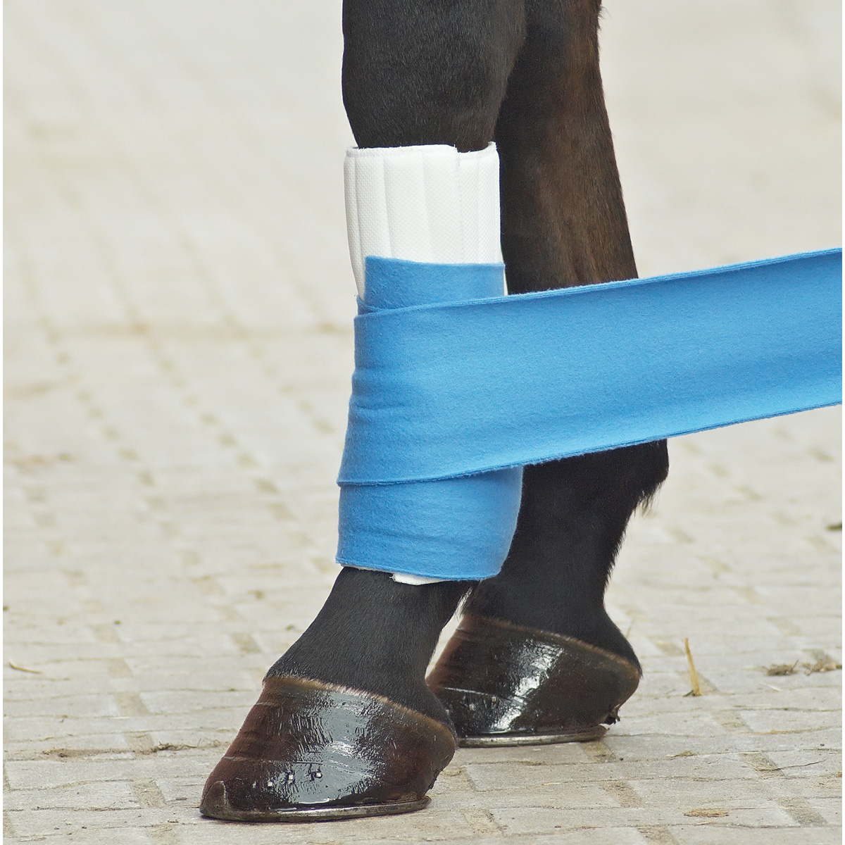 BUSSE Leg Wraps KLETT
