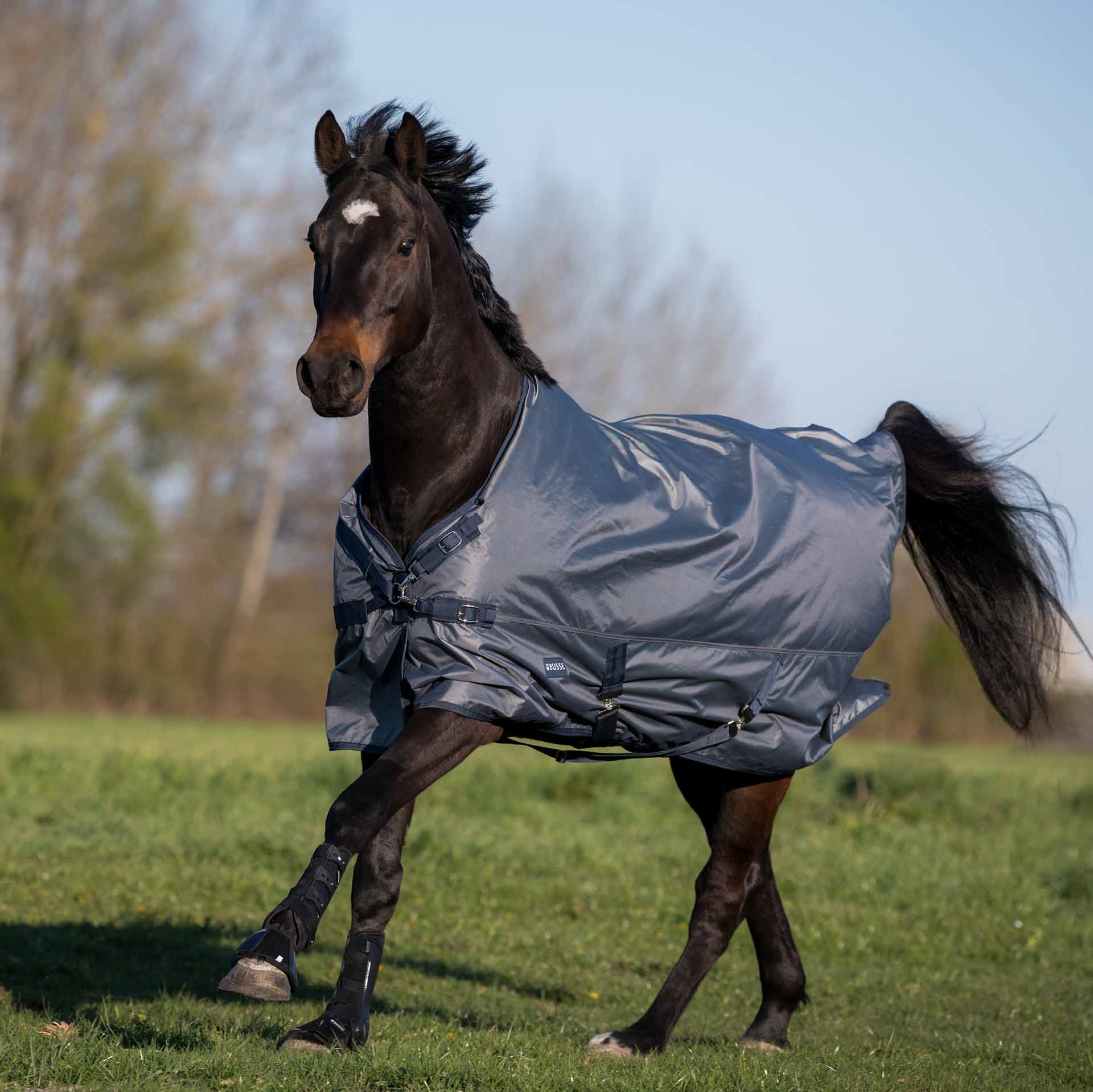 BUSSE Turnout Rug WINDCHILL 00 115 gray/navy
