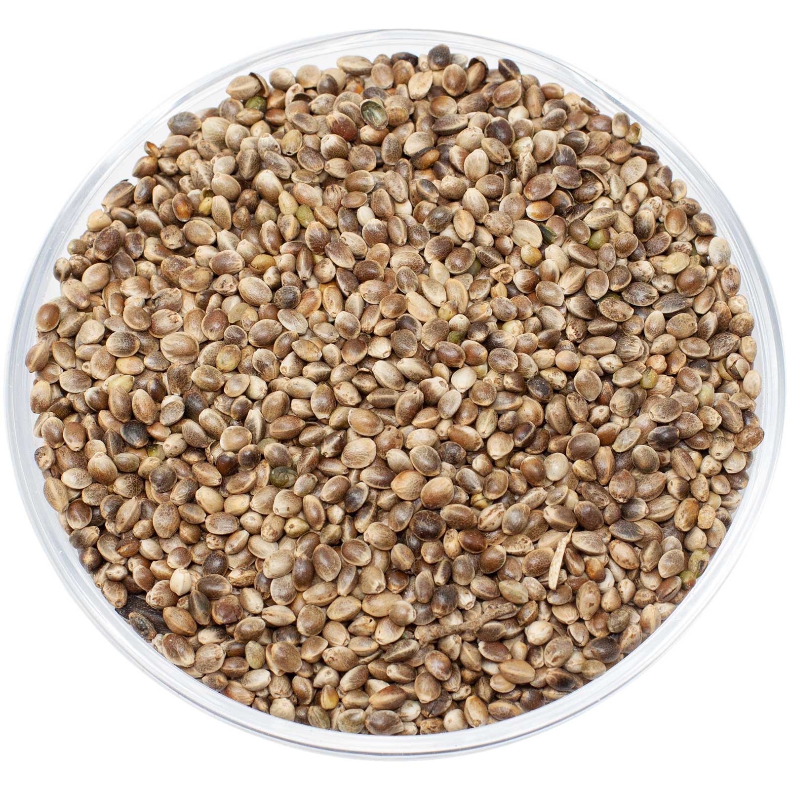 Leimüller Hemp Seed european