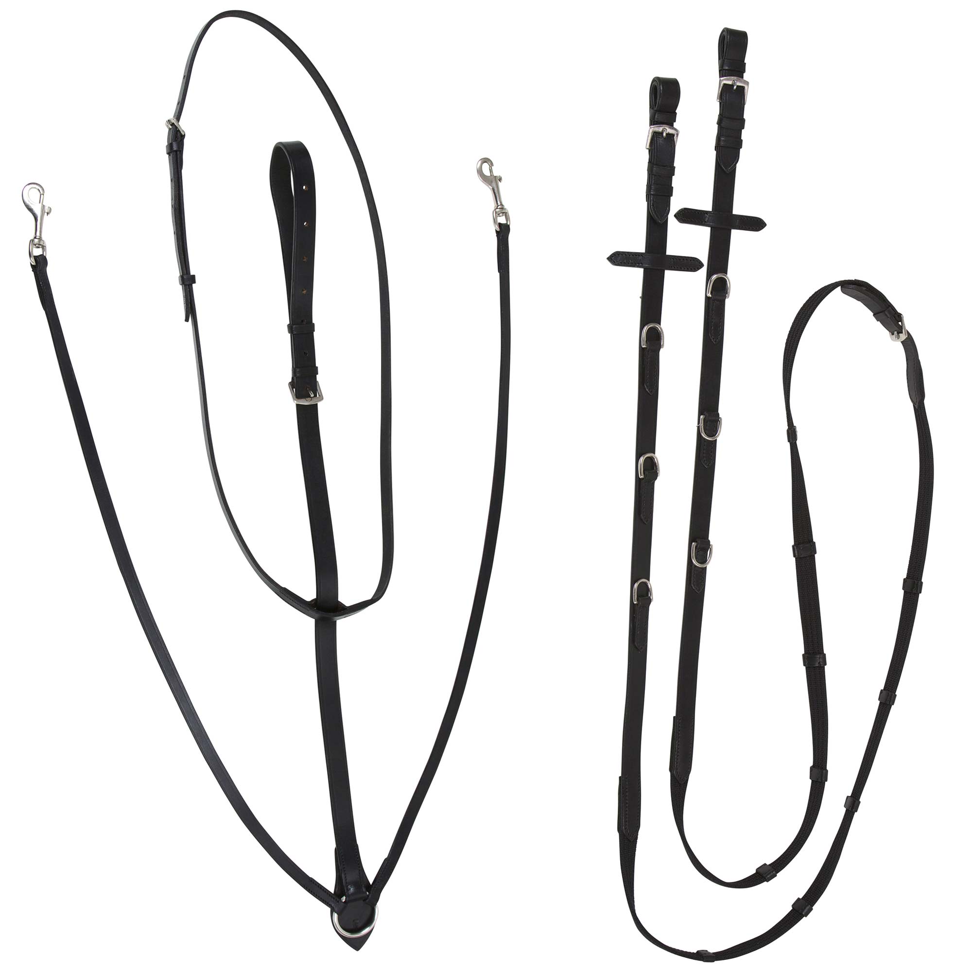Covalliero Thiedemann reins FULL