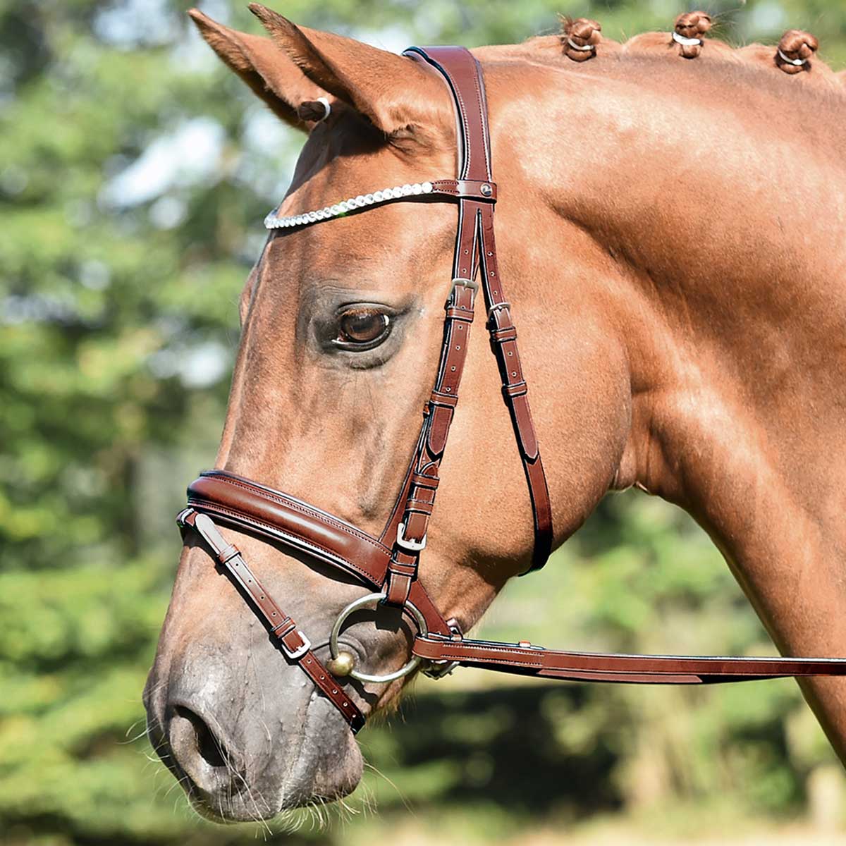 BUSSE Bridle MATERA