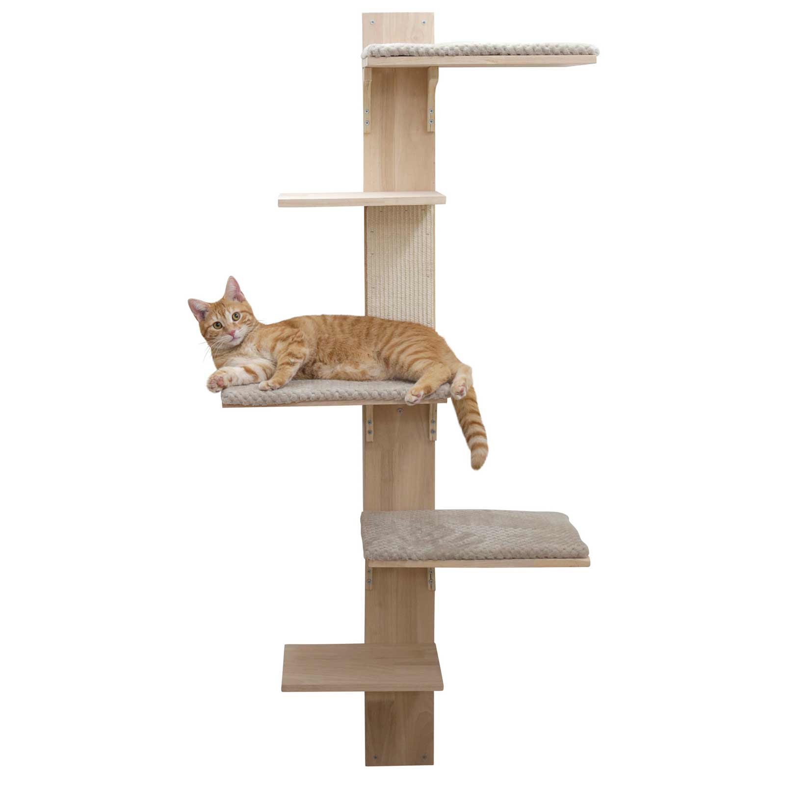 Wall scratching post timber
